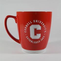 Cornell University mug