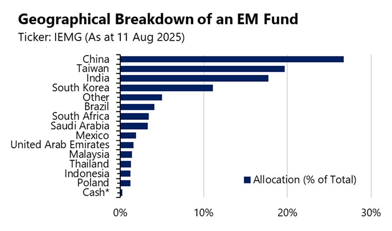 Geographical breakdown of an EM fund