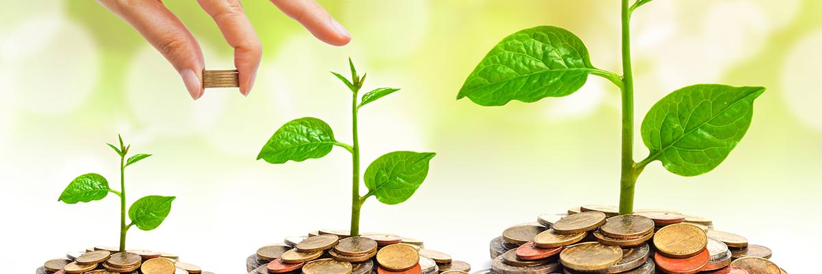 Green shoots sprouting from jars full of coins - more coins grow larger shoots