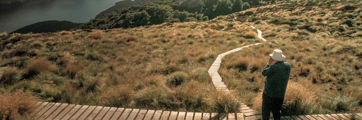 Man standing at the crossroads of two walking tracks, deciding which way to go