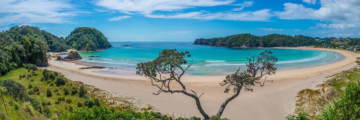 Abel Tasman beach