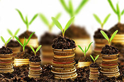 Money growing